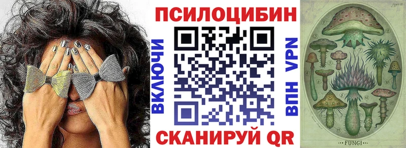 мориарти наркотические препараты  Верхнеуральск  kraken tor  Галлюциногенные грибы Magic Shrooms  где купить наркоту 
