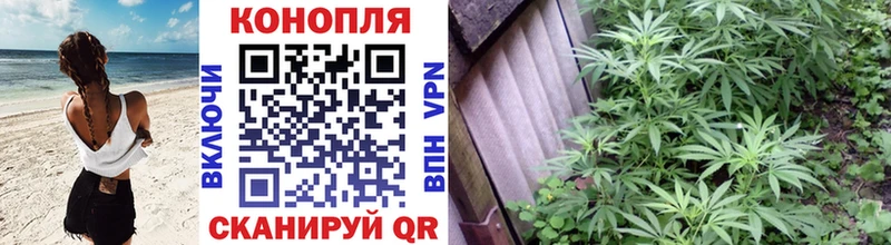 Бошки марихуана ГИДРОПОН Верхнеуральск